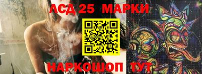 крисы Нальчик