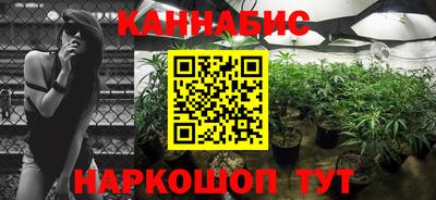 крисы Нальчик
