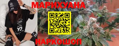 крисы Нальчик