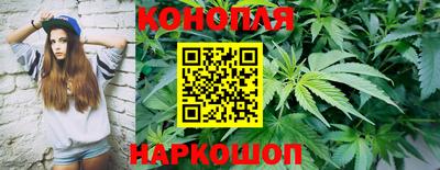 крисы Нальчик