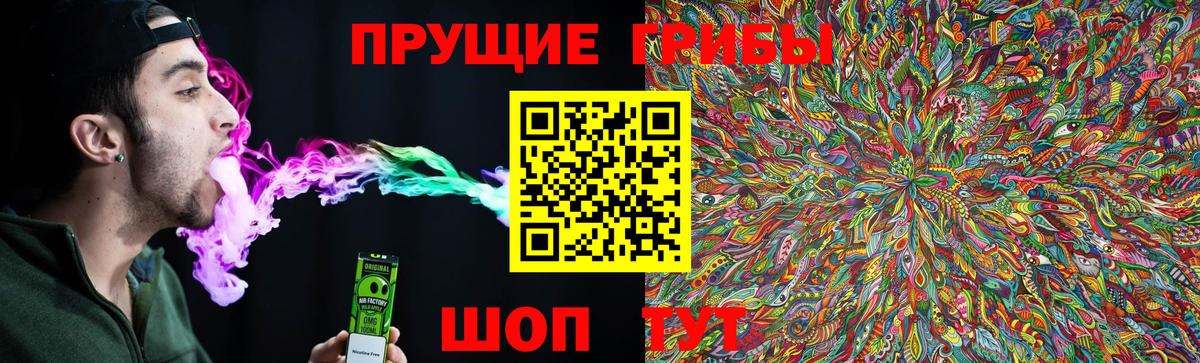 Псилоцибиновые грибы MAGIC MUSHROOMS Таганрог